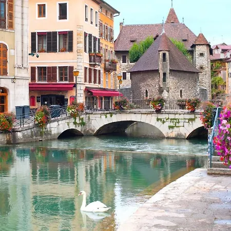 Moderne Chaleureux Et Calme